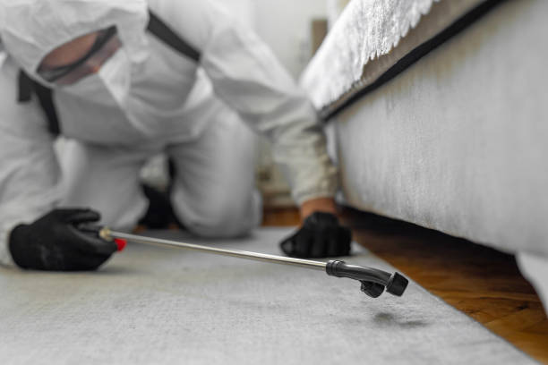 Professional Bed Bug Control technician working in Griffith, IN